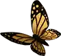 Radgost Butterfly